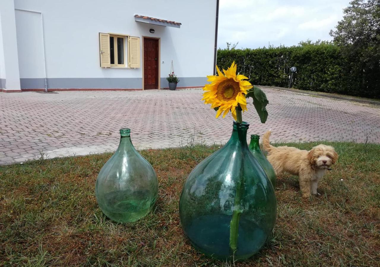 Casa Amrita, Yoga B&B Teramo Dış mekan fotoğraf