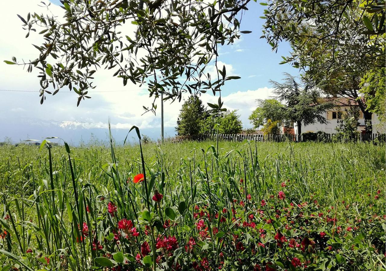 Casa Amrita, Yoga B&B Teramo Dış mekan fotoğraf