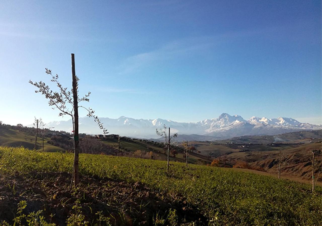 Casa Amrita, Yoga B&B Teramo Dış mekan fotoğraf